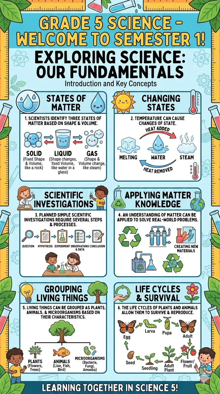 Grade 5 Bulletin Board Science