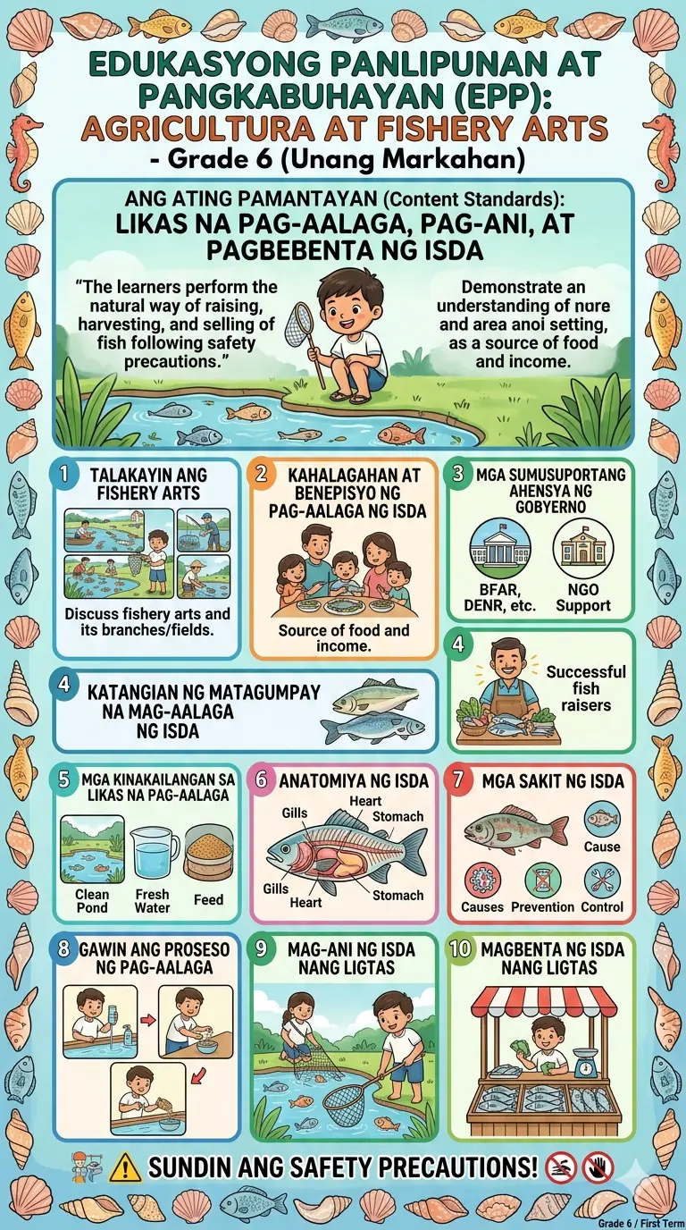Grade 6 Bulletin Board First Term EPP-AFA
